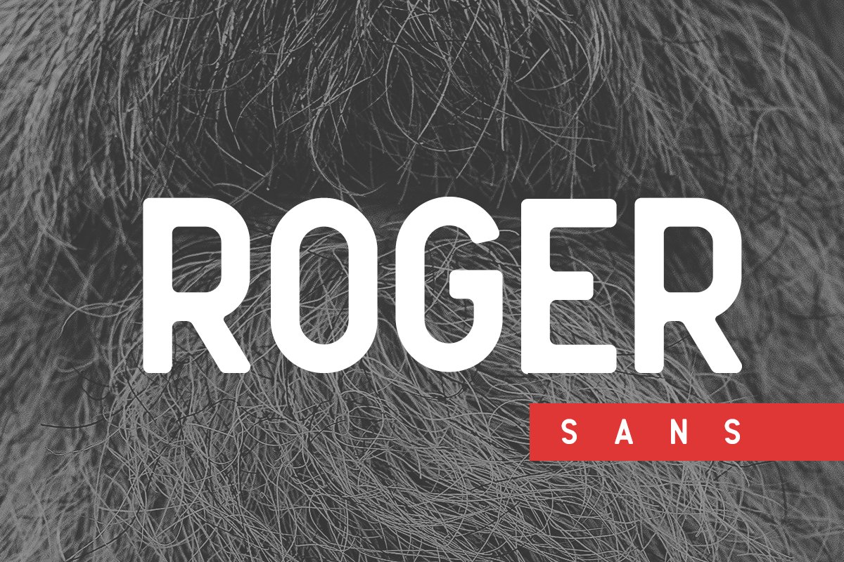 Roger Sans Font preview